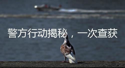警方行動(dòng)揭秘，一次查獲80個(gè)泡泡瑪特玩偶的幕后故事