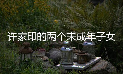 許家印的兩個未成年子女，家庭背景與成長焦點