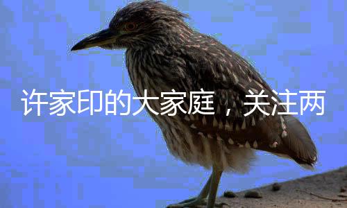 許家印的大家庭，關(guān)注兩名未成年子女的成長(zhǎng)故事
