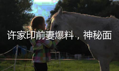 許家印前妻爆料，神秘面紗背后的未成年子女真相