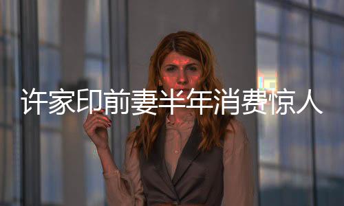 許家印前妻半年消費驚人，揭秘四百萬美金背后的故事