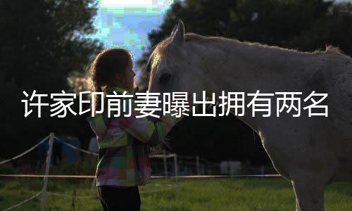 許家印前妻曝出擁有兩名未成年子女，引起社會關(guān)注