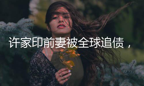 許家印前妻被全球追債，揭秘背后不為人知的真相