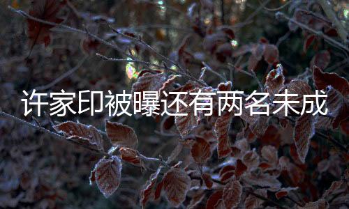 許家印被曝還有兩名未成年子女，揭秘背后的故事