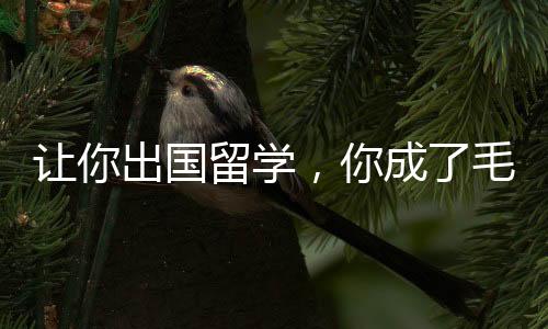 讓你出國留學(xué)，你成了毛熊總統(tǒng)