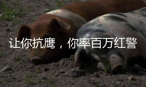 讓你抗鷹，你率百萬(wàn)紅警吊打藍(lán)星