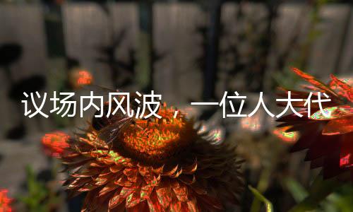 議場內(nèi)風(fēng)波，一位人大代表發(fā)言被三次打斷引發(fā)深思