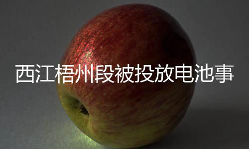 西江梧州段被投放電池事件揭秘，官方回應