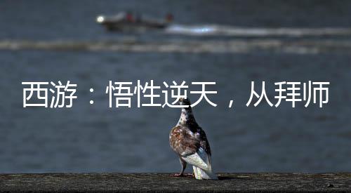 西游：悟性逆天，從拜師八戒開始