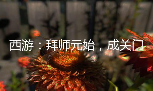 西游：拜師元始，成關(guān)門弟子！