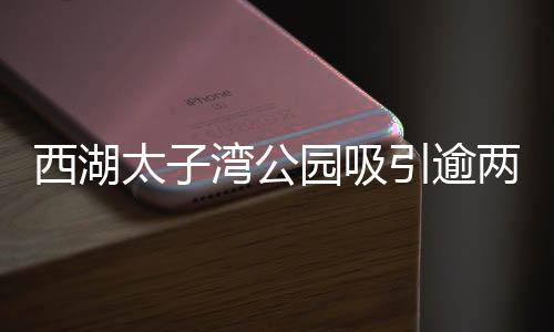 西湖太子灣公園吸引逾兩億人參與，旅游熱潮一浪高過一浪
