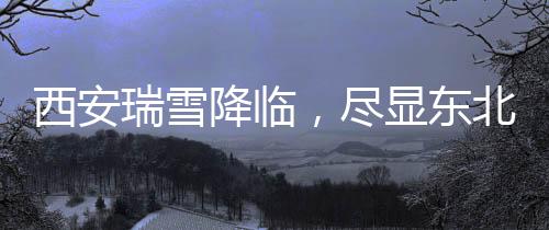 西安瑞雪降臨，盡顯東北之威，雪的氣勢(shì)非凡驚艷四方！