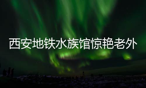 西安地鐵水族館驚艷老外，領(lǐng)略古都別樣風(fēng)情