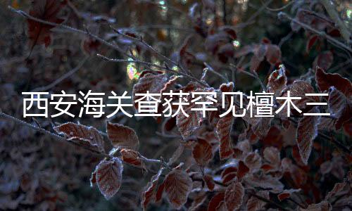 西安海關(guān)查獲罕見檀木三弦琴，一起了解事件始末