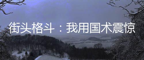 街頭格斗：我用國(guó)術(shù)震驚全球！