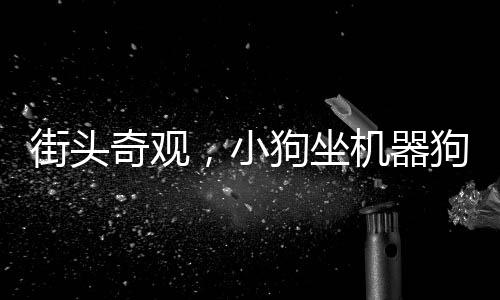 街頭奇觀，小狗坐機器狗逛街，驚呆路人