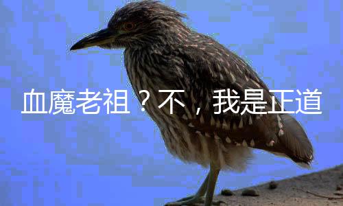 血魔老祖？不，我是正道的光！