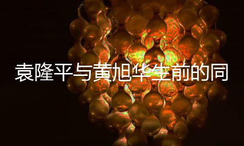 袁隆平與黃旭華生前的同框瞬間，時(shí)代精神的長(zhǎng)存引發(fā)無盡感動(dòng)