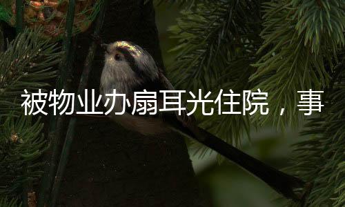 被物業(yè)辦扇耳光住院，事件背后的真相與反思