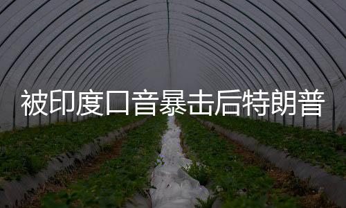 被印度口音暴擊后特朗普請了個翻譯，國際交流中的語言挑戰(zhàn)與應對策略