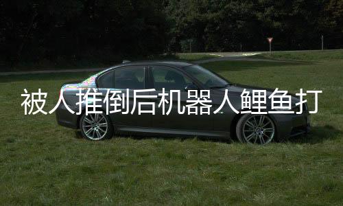 被人推倒后機(jī)器人鯉魚打挺起身，科技與力量的完美結(jié)合