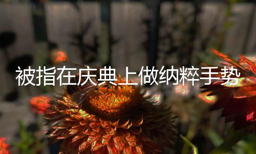 被指在慶典上做納粹手勢(shì)，馬斯克回應(yīng)