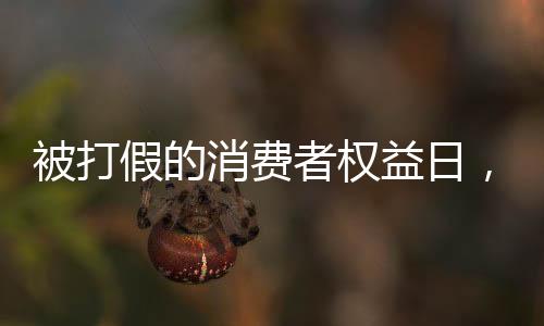 被打假的消費(fèi)者權(quán)益日，披露不誠(chéng)的企業(yè)‘紅黑榜’項(xiàng)目解析