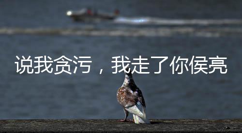 說我貪污，我走了你侯亮平哭什么