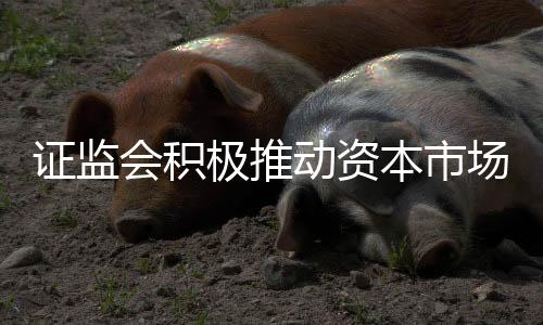 證監(jiān)會積極推動資本市場政策體系落地實施