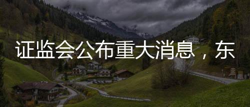 證監(jiān)會公布重大消息，東方集團(tuán)涉嫌重大財(cái)務(wù)造假案件紀(jì)實(shí)
