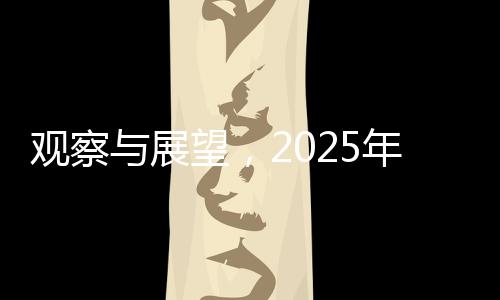 觀察與展望，2025年全國兩會會風紀實