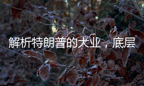 解析特朗普的大業(yè)，底層邏輯揭秘