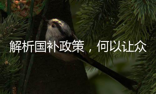 解析國(guó)補(bǔ)政策，何以讓眾多00后減輕生活費(fèi)負(fù)擔(dān)？
