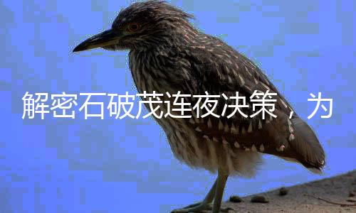 解密石破茂連夜決策，為何選擇連夜與王毅會(huì)面？