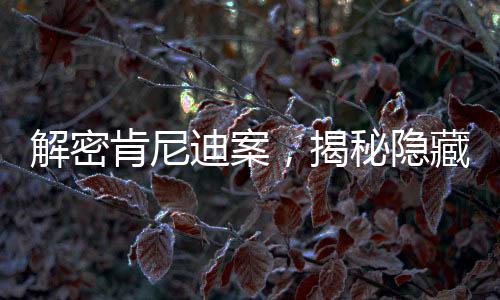 解密肯尼迪案，揭秘隱藏于六萬多頁(yè)文件中的真相