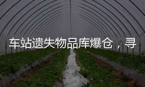 車站遺失物品庫爆倉，尋回物品流程再造挑戰(zhàn)巨大