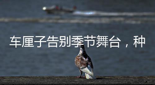 車厘子告別季節(jié)舞臺，種植銷售鏈全景揭秘及未來發(fā)展展望