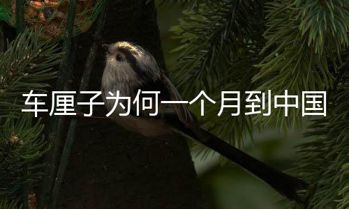 車?yán)遄訛楹我粋€(gè)月到中國(guó)卻不腐爛？揭秘其神秘旅程與保鮮之道