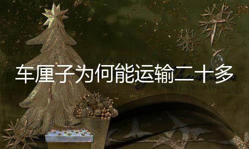 車?yán)遄訛楹文苓\(yùn)輸二十多天都不壞？解密物流保鮮技術(shù)