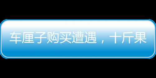車?yán)遄淤徺I遭遇，十斤果實(shí)三斤壞果，消費(fèi)者需謹(jǐn)慎