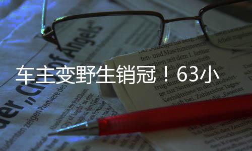 車(chē)主變野生銷(xiāo)冠！63小時(shí)賣(mài)753臺(tái)問(wèn)界——一位車(chē)主的逆襲之路