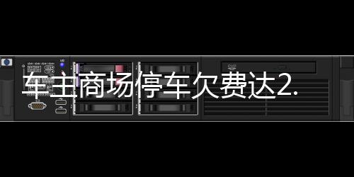 車主商場(chǎng)停車欠費(fèi)達(dá)2.4萬，事件回顧與各方反應(yīng)