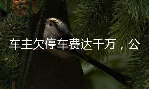 車(chē)主欠停車(chē)費(fèi)達(dá)千萬(wàn)，公司作出回應(yīng)
