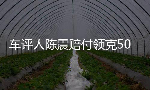 車評人陳震賠付領(lǐng)克500萬元違約金事件深度解析