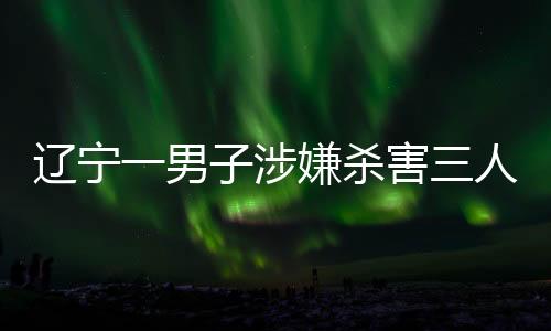 遼寧一男子涉嫌殺害三人后逃逸，警方迅速回應(yīng)展開追捕行動