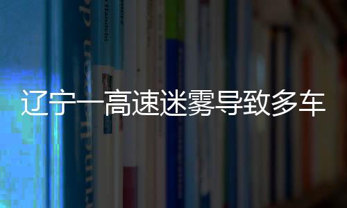 遼寧一高速迷霧導(dǎo)致多車連撞事件紀實