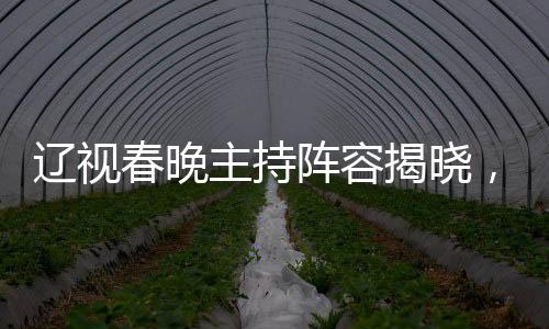 遼視春晚主持陣容揭曉，杜海濤、劉濤、于洋攜手獻(xiàn)上新年祝福