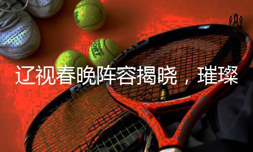 遼視春晚陣容揭曉，璀璨明星齊聚一堂，共迎美好未來——XXXX年遼視春晚陣容官宣盛典