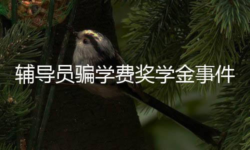 輔導(dǎo)員騙學(xué)費(fèi)獎(jiǎng)學(xué)金事件曝光，揭示高校管理漏洞與責(zé)任擔(dān)當(dāng)