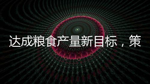 達(dá)成糧食產(chǎn)量新目標(biāo)，策略與實(shí)踐之路